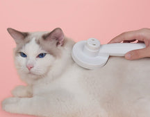 pets : Kitty Kattenborstel - Zelfreinigende Borstel om Je Kat Mee te Kammen - Wit in Wit van Pantino