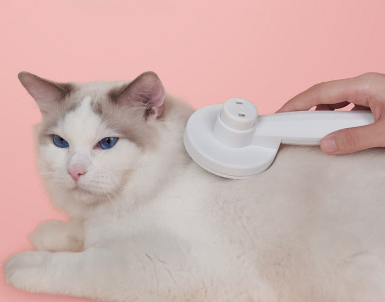 pets : Kitty Kattenborstel - Zelfreinigende Borstel om Je Kat Mee te Kammen - Wit in Wit van Pantino