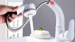 home & garden : Uittrekbare Lift voor de Badkamer Messing Mengkraan Kraan Heren Chroom - Zwart in van Pantino