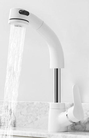 home & garden : Uittrekbare Lift voor de Badkamer Messing Mengkraan Kraan Heren Chroom - Zwart in Wit van Pantino