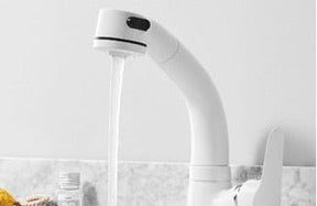 home & garden : Uittrekbare Lift voor de Badkamer Messing Mengkraan Kraan Heren Chroom - Zwart in van Pantino