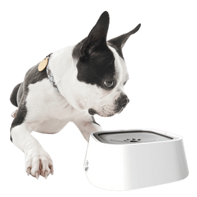 pets : Water Bowl Pro - Nooit Meer Geknoei van Je Huisdier - Roze in van Pantino