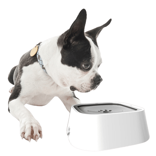 pets : Water Bowl Pro - Nooit Meer Geknoei van Je Huisdier - Roze in van Pantino