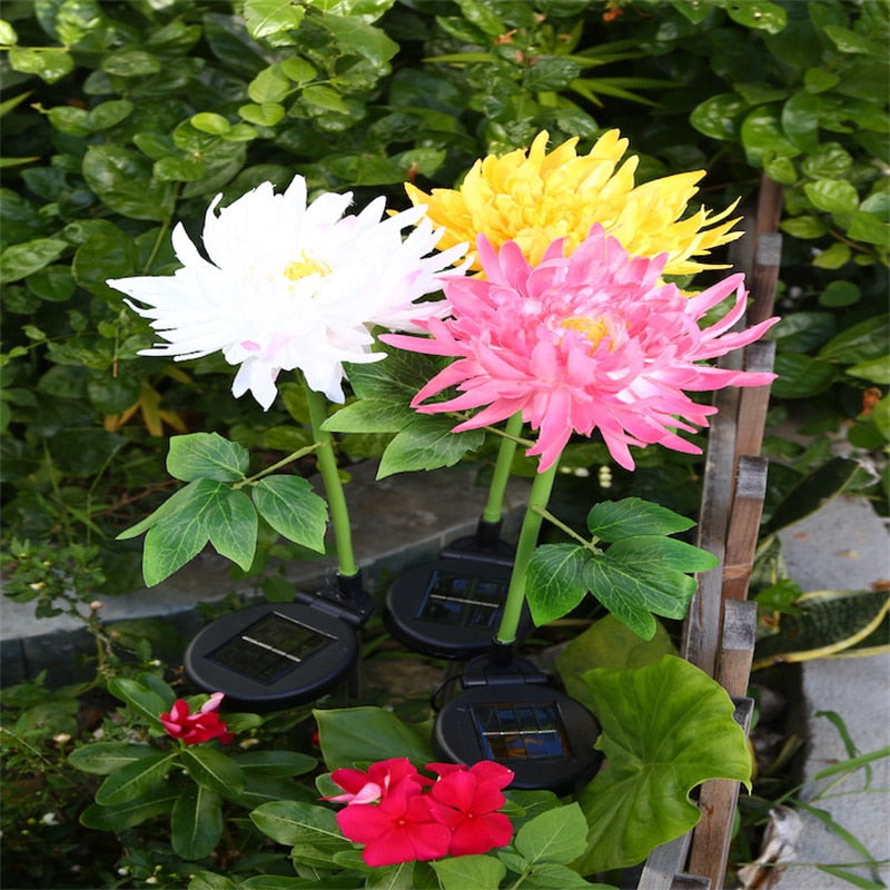 home & garden : Chrysanthemum LED Solar Licht Roze - Tuin Decoratief Bloemlicht - Solar LED in Geel van Pantino