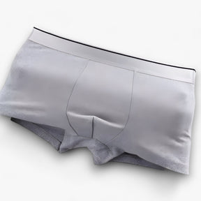 Boxer Briefs : Ademende Boxershorts - Sexy en Comfortabel - 2 Zwart in van Pantino