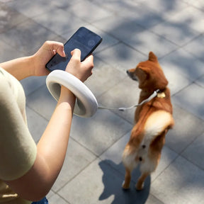 pets : Verstelbare Intelligente Lijn - Een Verbeterde Wandelervaring voor Honden in van Pantino