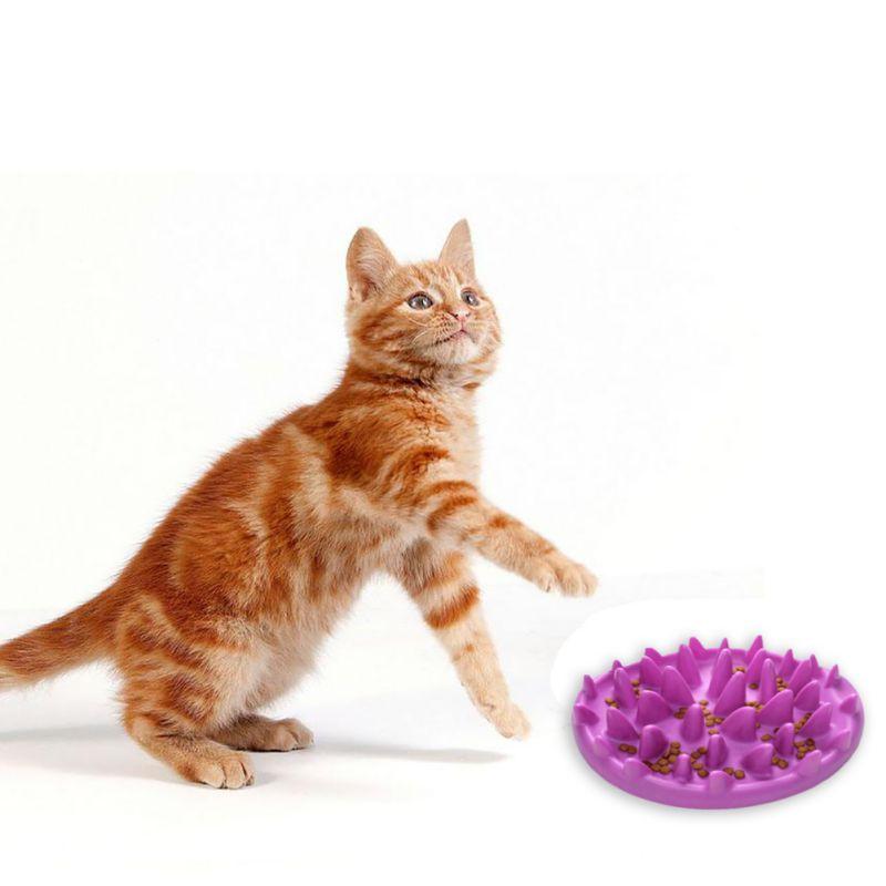 pets : Kattenvoerbak met Anti-Schrok Ontwerp in van Pantino