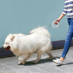 pets : Verstelbare Intelligente Lijn - Een Verbeterde Wandelervaring voor Honden in van Pantino