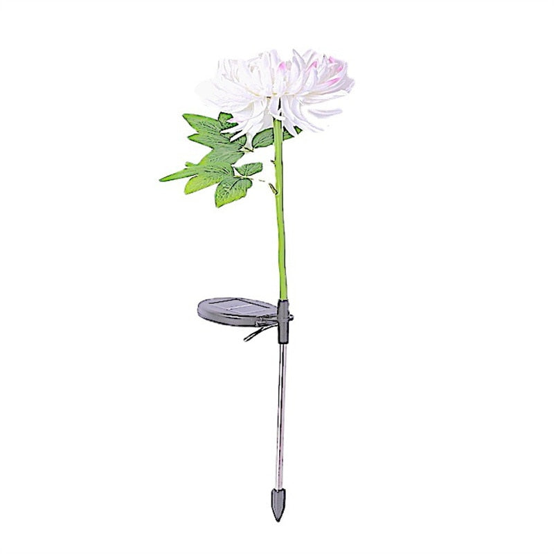 home & garden : Chrysanthemum LED Solar Licht Roze - Tuin Decoratief Bloemlicht - Solar LED in van Pantino