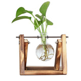 Faune Plantes Pots de Bouturage - Cultivez Vos Propres Plantes à la Maison