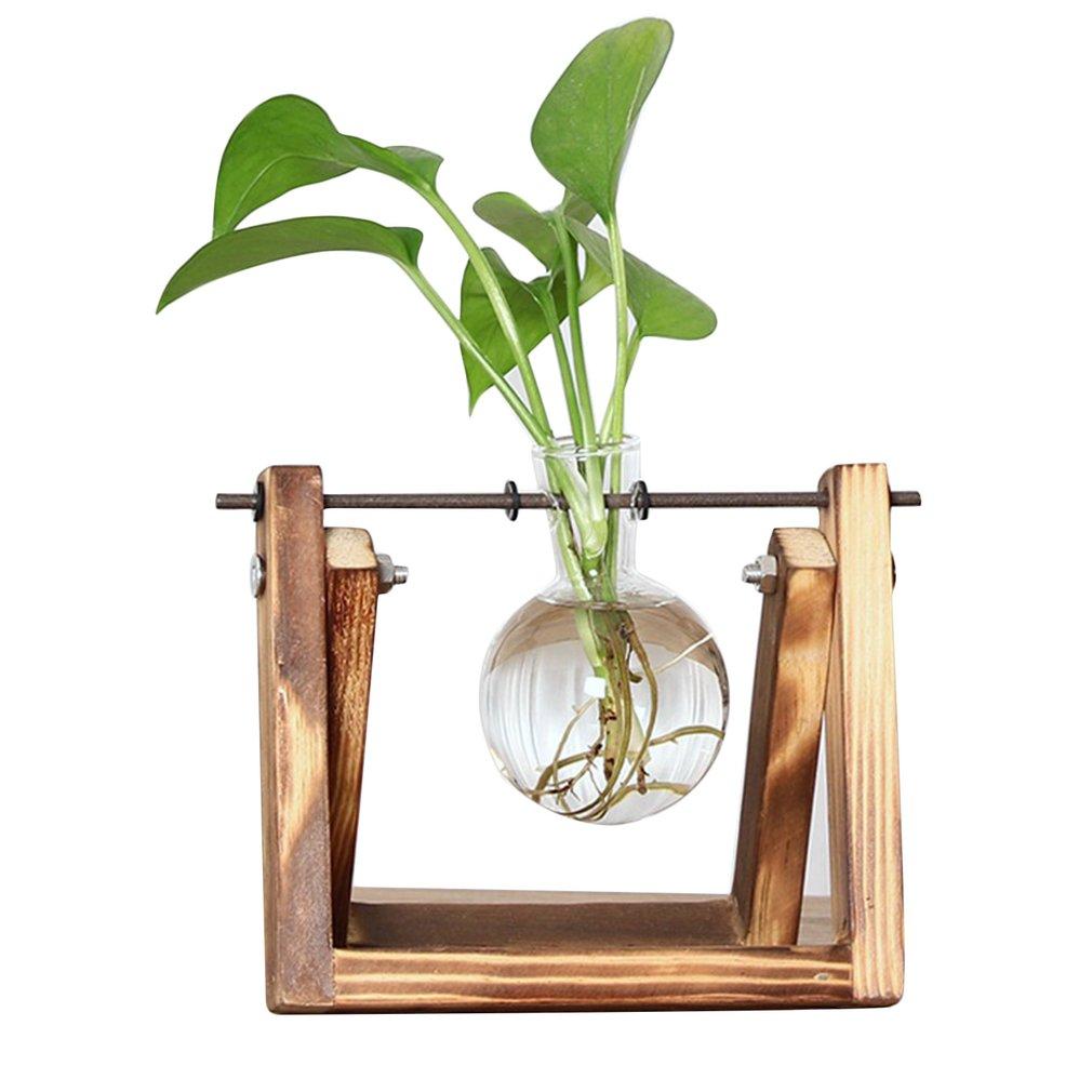 home & garden : Fauna Planten Stekpotjes - Kweek Thuis Je Eigen Plantjes in Gebrand 1 van Pantino