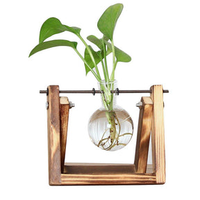 home & garden : Fauna Planten Stekpotjes - Kweek Thuis Je Eigen Plantjes in Gebrand 1 van Pantino