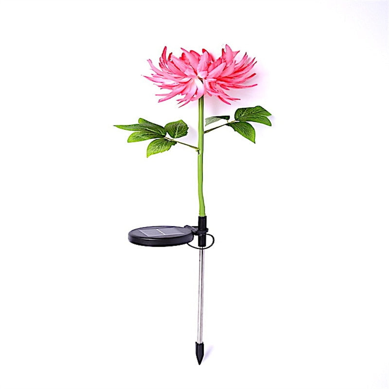 home & garden : Chrysanthemum LED Solar Licht Roze - Tuin Decoratief Bloemlicht - Solar LED in van Pantino