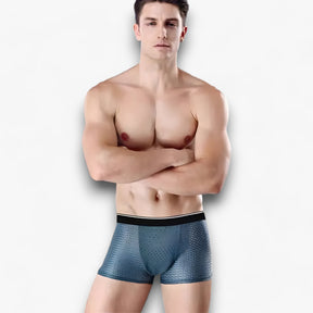 Men's Briefs : Ondergoed Heren - Ice Silk Briefs - Ademend in van Pantino