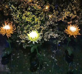 home & garden : Chrysanthemum LED Solar Licht Roze - Tuin Decoratief Bloemlicht - Solar LED in van Pantino