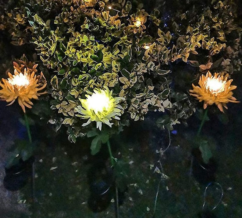 home & garden : Chrysanthemum LED Solar Licht Roze - Tuin Decoratief Bloemlicht - Solar LED in van Pantino