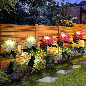 home & garden : Chrysanthemum LED Solar Licht Roze - Tuin Decoratief Bloemlicht - Solar LED in van Pantino