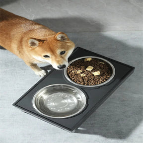 pets : FlexiFeed Honden Eet Station - Heb het Beste voor met Je 4-voeter in van Pantino