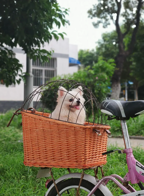 pets : Rotan Fietsmand voor Achterop Hond - Naturel in van Pantino