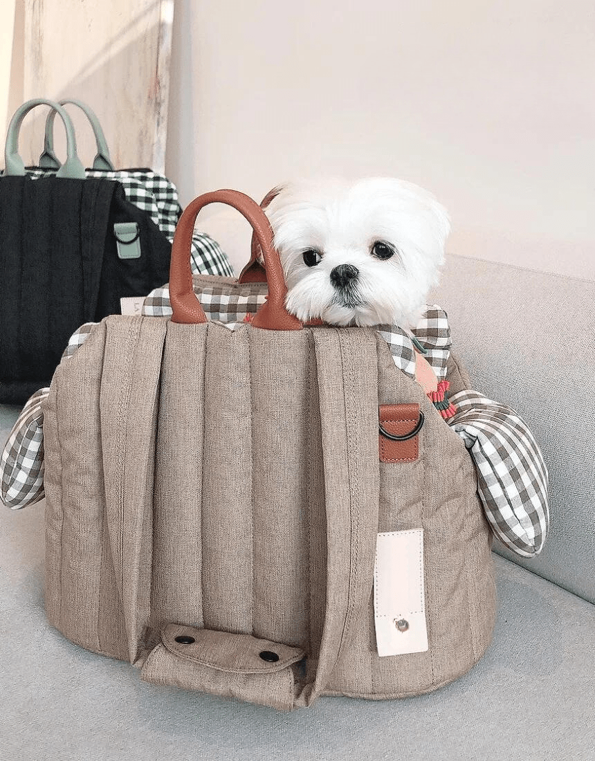 pets : Schouder Hondentas Beige - Chique Draagtas Kleine Honden - Stof in van Pantino
