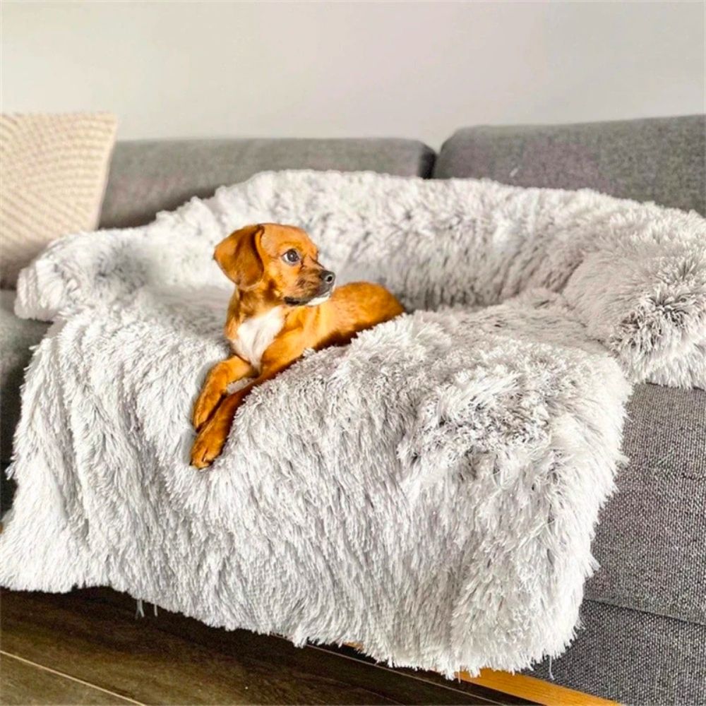 pets : Pluizig Hondenbed Grijs - Bank Bescherming Comfortabel - Pluche in van Pantino