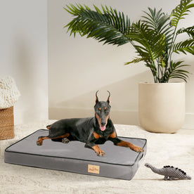 pet supplies : Maxi Comfort Hondenbed - Grijs in van Pantinoshop