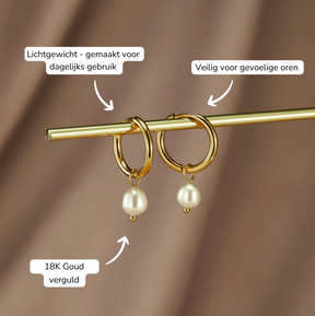 Earrings : Oorbellen Zilver - Isabel Pearl 5 Mm in van Pantino