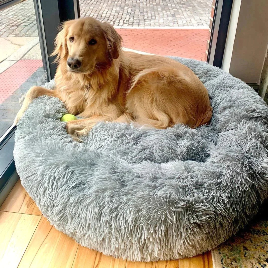 pets : Hondenbed Grijs - Ultiem Comfortabel Zacht Ligplaats - Pluche in Grijs van Pantino