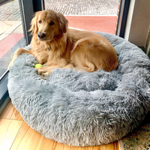 pets : PawZen - Comfortabel Hondenbed - Ultiem Comfort in Grijs van Pantino