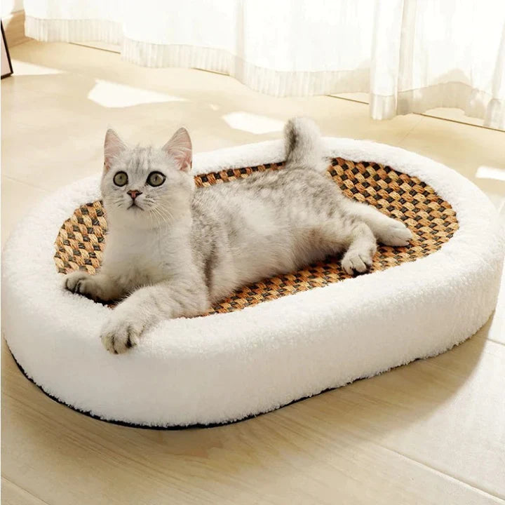 pets : ScratchHaven - Krabbed voor Katten in van Pantino