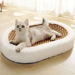 pets : ScratchHaven - Krabbed voor Katten in van Pantino