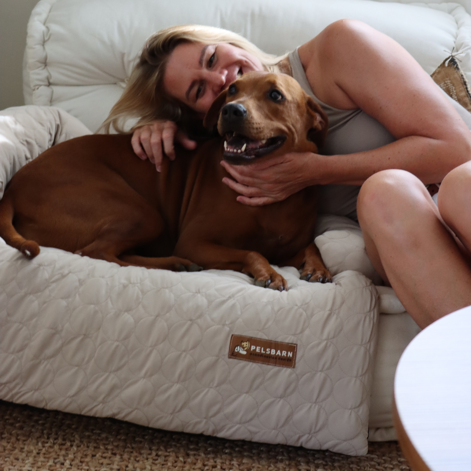 Huisdieren : Verkoelend Honden Bed - Lichtblauw in XS S Beige Bruin van Pantino