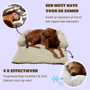 Huisdieren : Verkoelend Honden Bed - Lichtblauw in van Pantino