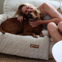 Huisdieren : Verkoelend Honden Bed - Lichtblauw in XS S Beige Bruin van Pantino