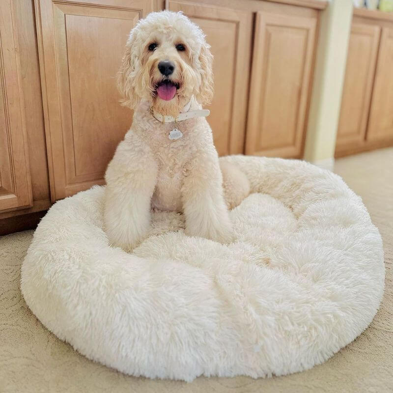 pets : FluffyBed Donutbed Pluche – Rond Hondenkussen – Wasbaar in Parelwit van Pantino