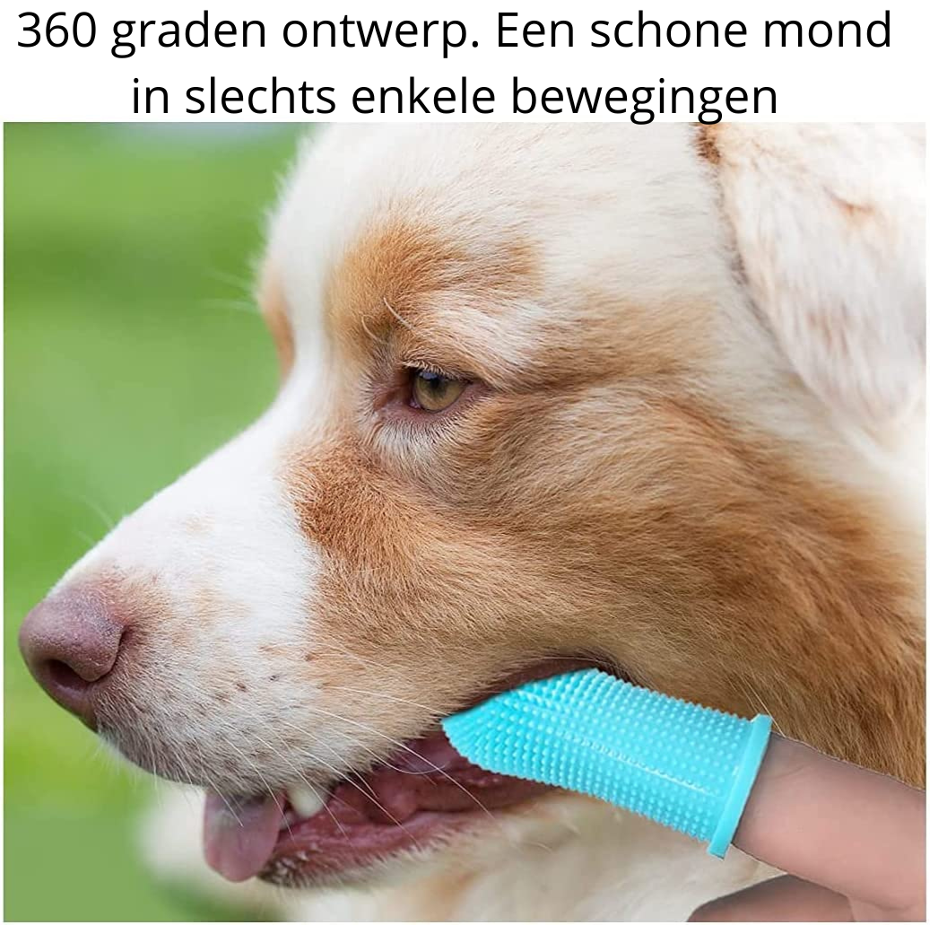 pets : Honden Gebitsreiniger - Veilig Materiaal & Handig in Gebruik - Roze in van Pantino