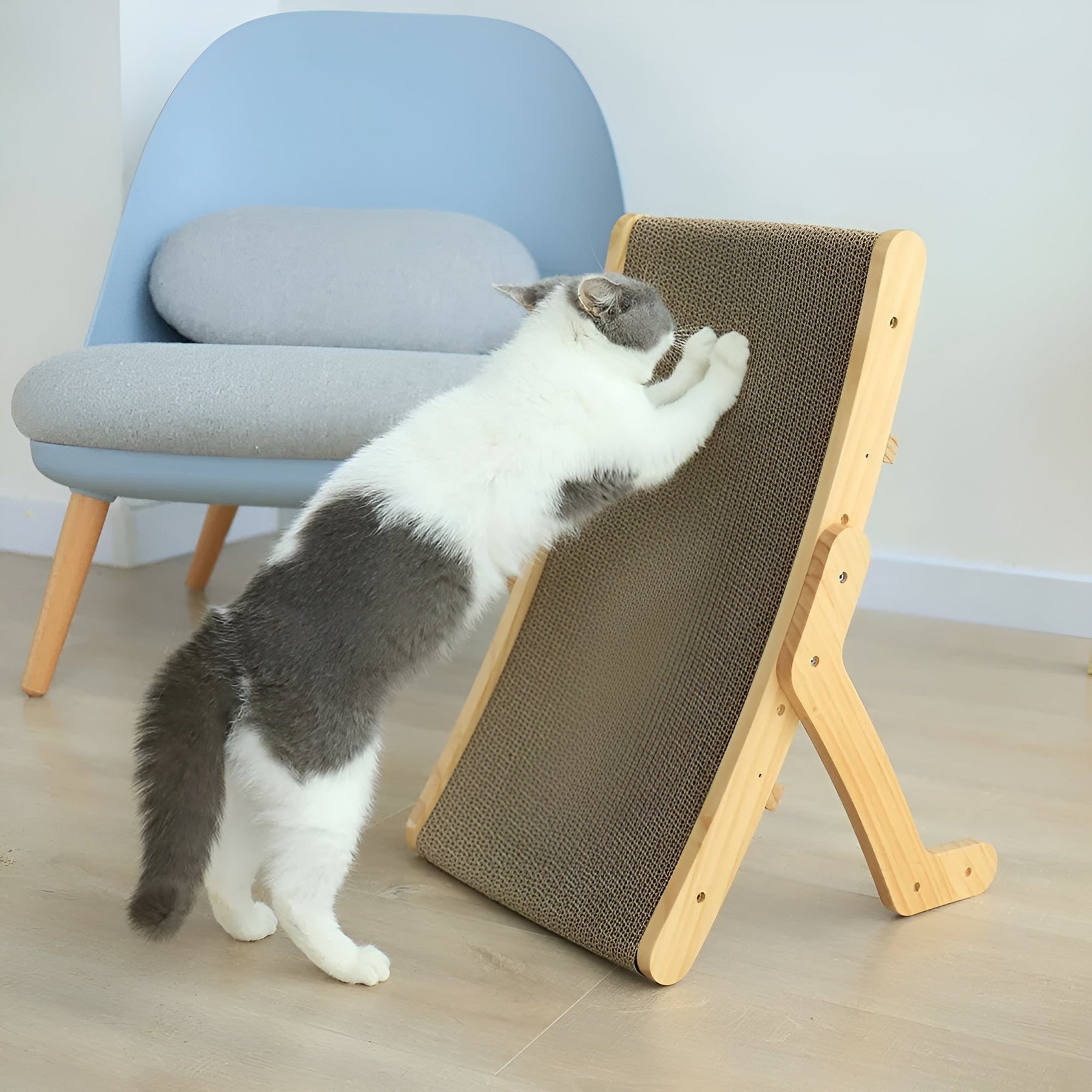 pets : Houten Kattenkrabplank - Multifunctionele Verwijderbare Design - Hout in van Pantino