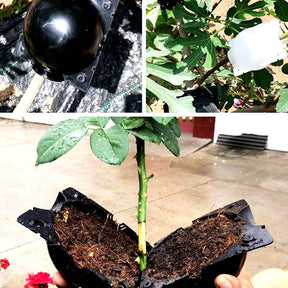 home & garden : Plant Rooting Ball 1 stuk in van Pantino