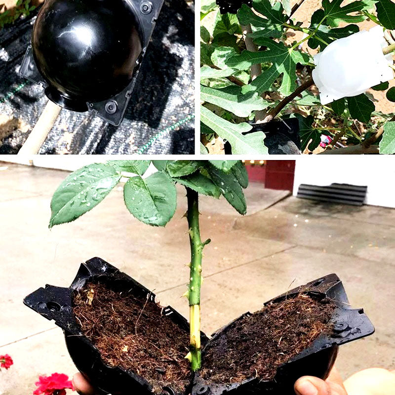 home & garden : Plant Rooting Ball 1 stuk in van Pantino