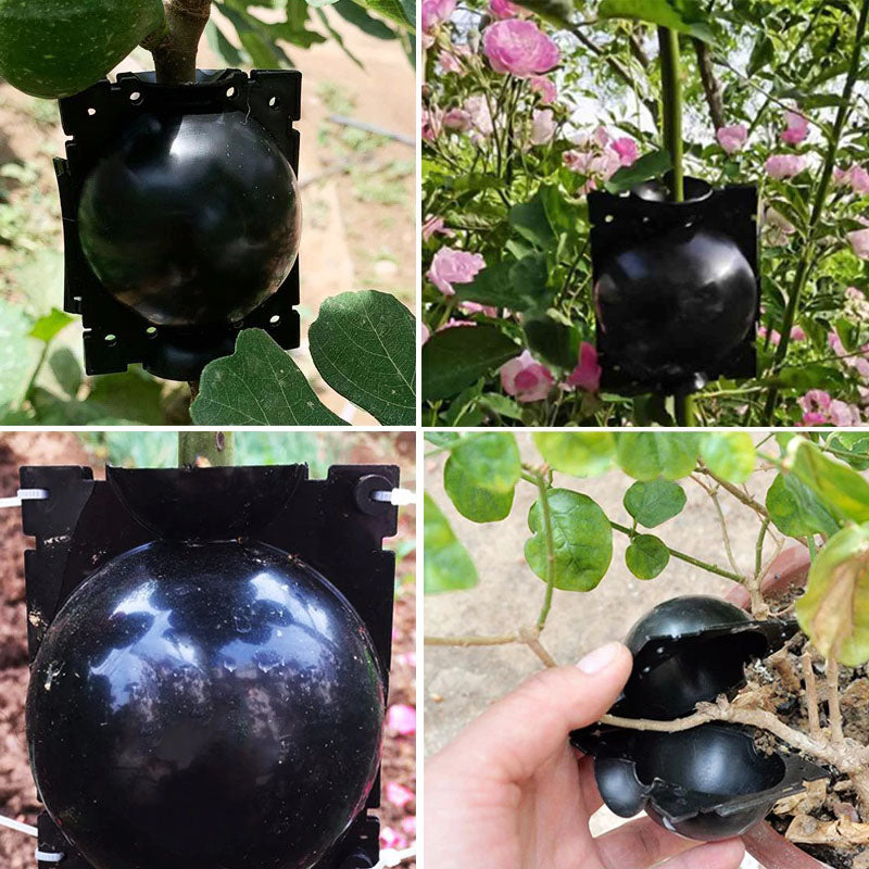 home & garden : Plant Rooting Ball 1 stuk in van Pantino