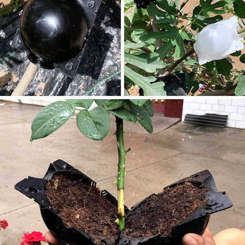 home & garden : Plant Rooting Ball 1 stuk in van Pantino