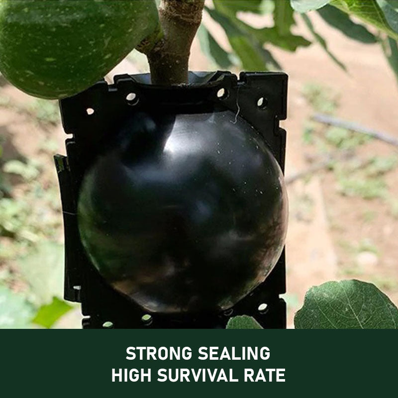 home & garden : Plant Rooting Ball 1 stuk in van Pantino