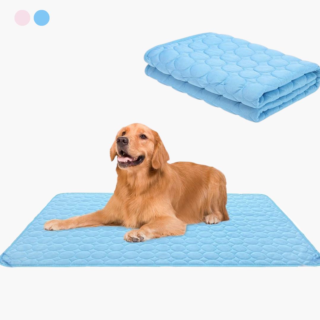 pets : Koelmat voor huisdieren - verkoelende gelmat voor honden en katten in de zomer in van Pantino