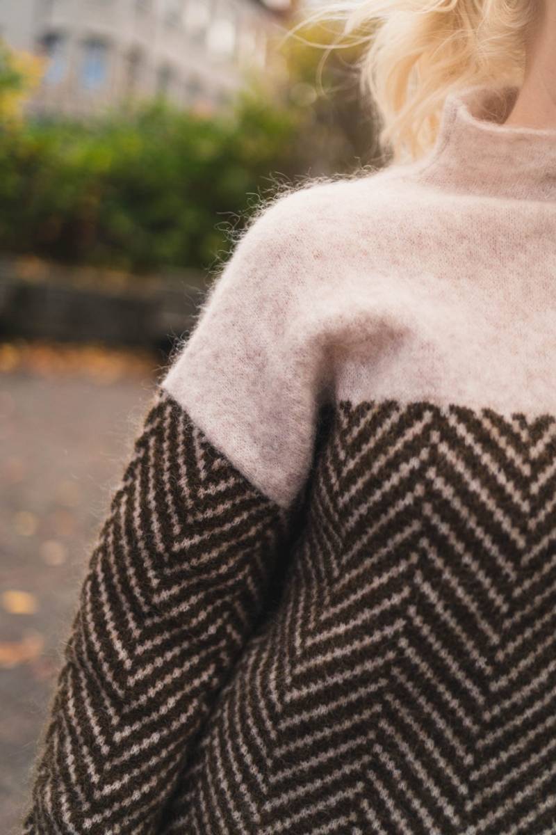 Autumn Collection : Pull Femme Doux Col Roulé en Maille Fine pour Hiver Élégant et Chaud in van Pantino