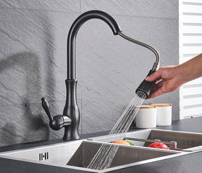 home & garden : Intrekbare Keukenkraan - Geborsteld Nikkel Uittrekbaar Design - RVS in van Pantino