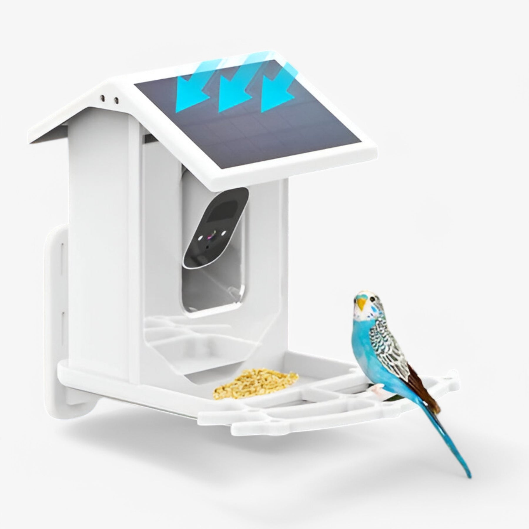 pets : Smart Bird Feeder - Dierenbenodigdheden in van Pantino