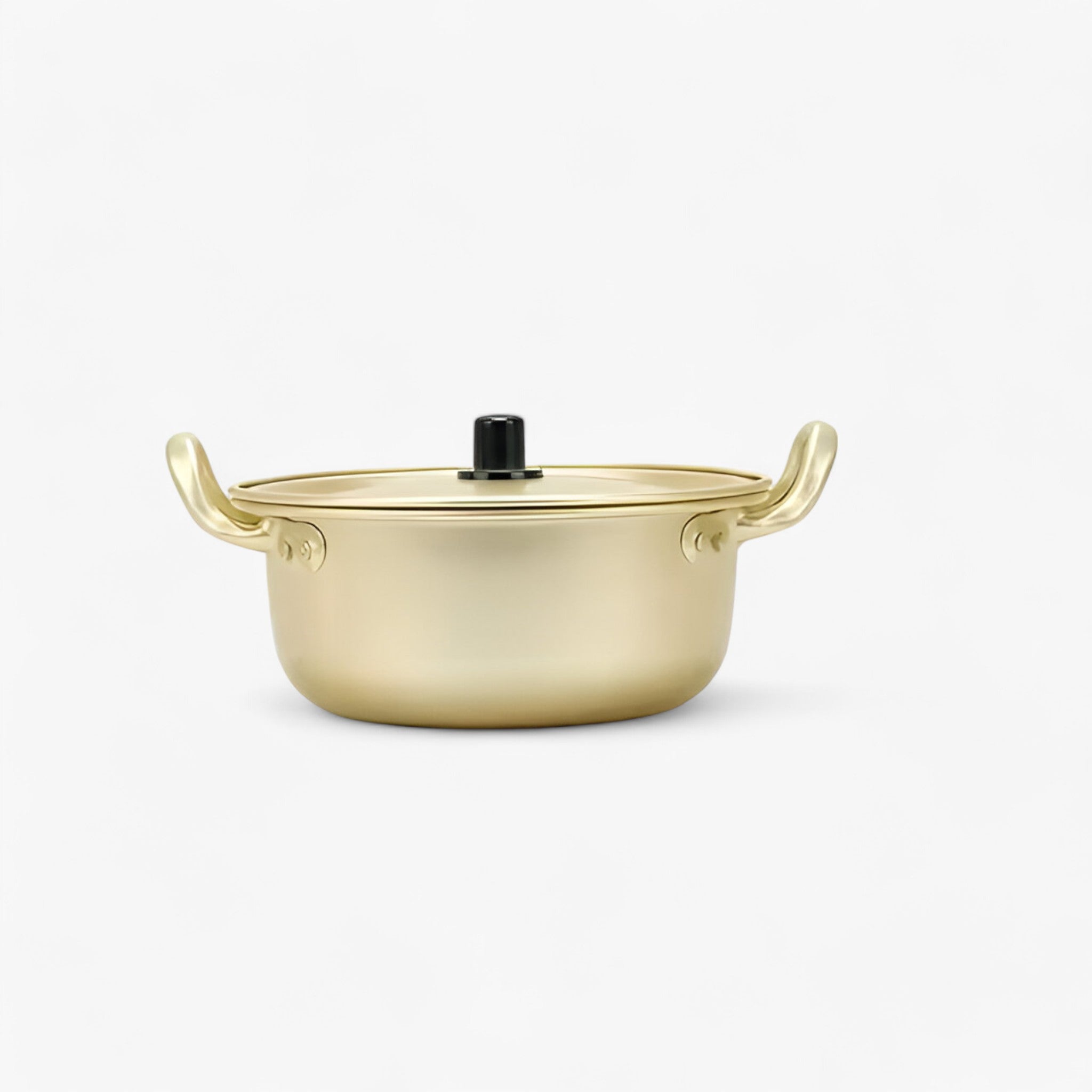 home & garden : Gouden Noodle Pot Aluminium in 18CM van Pantino