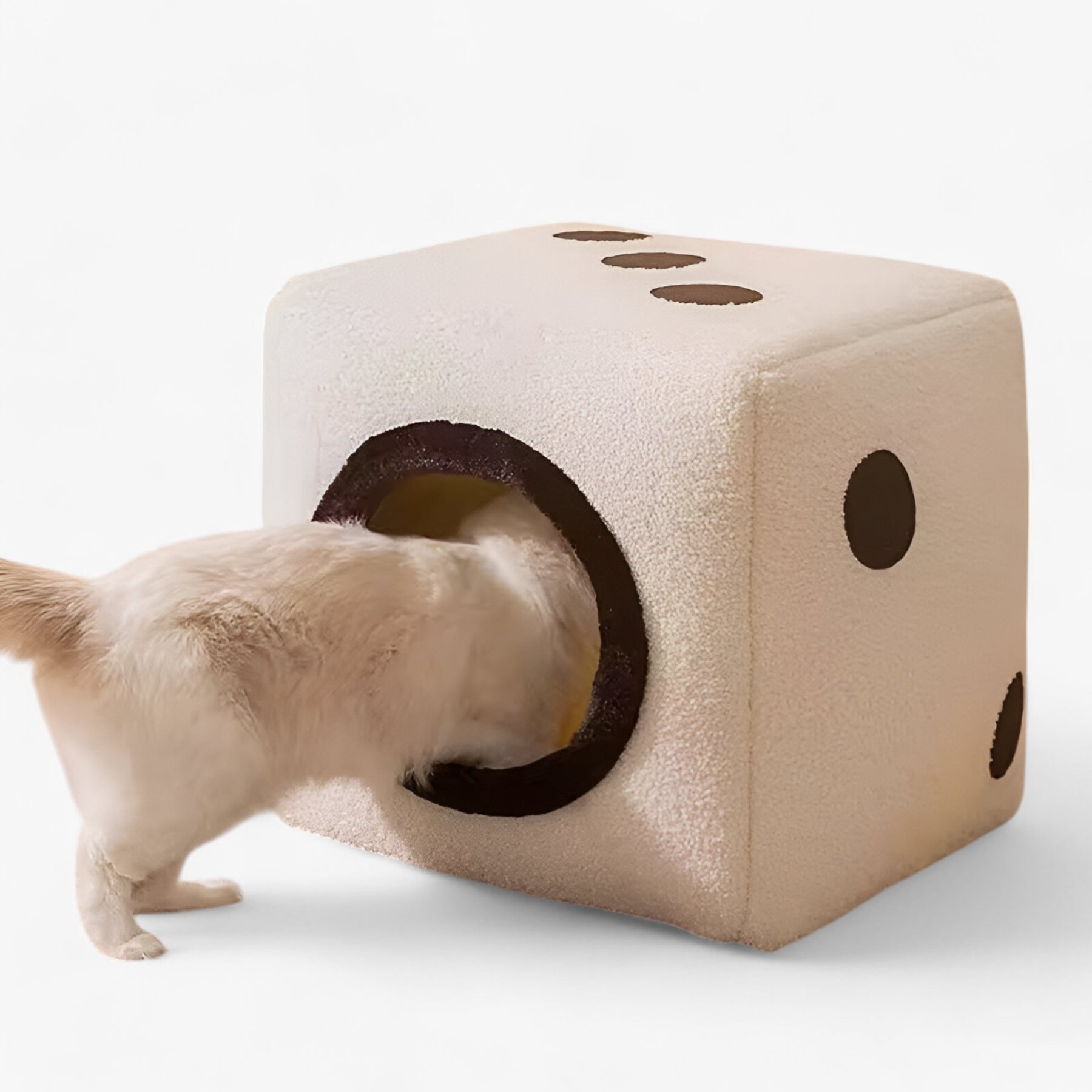 pets : Dobbelsteen Kattenhuis - Warm, Zacht en Opvouwbaar Nest - Zwart in van Pantino