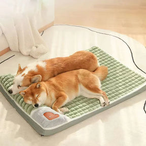 pets : ComfyPet - Gun Je Huisdier het Beste - Groen in van Pantino