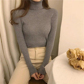 Sweater : Sweater Khaki - Helia Turtleneck with Cashmere in van Pantino